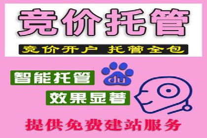 百度竞价与移动端广告：某品牌成功案例解析